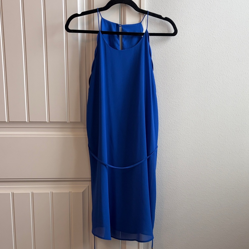 The Impeccable Pig Royal Blue Backless Dress